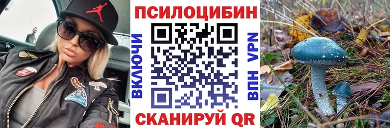 Галлюциногенные грибы мицелий  купить наркоту  Кондопога 