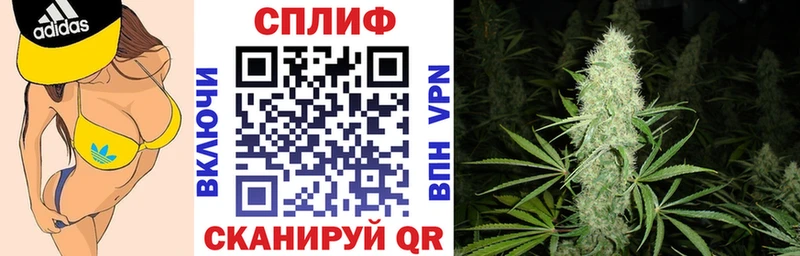 Шишки марихуана THC 21%  мега как зайти  Кондопога 